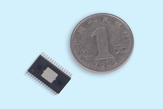 再现千古知音佳话;在“芳华秋艳”景点增植落羽杉等变叶树种;修剪“玉塔微澜”景点的宝塔山道乔灌木