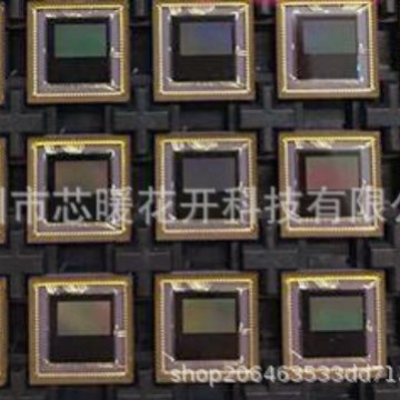 大连公安近日依法查处了两起妨害公务案件